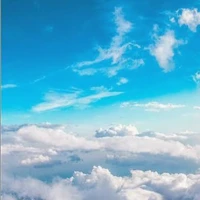 Yêu Cầu(⁠≧⁠▽⁠≦⁠)