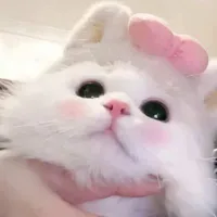 Tác giả (Nhím)