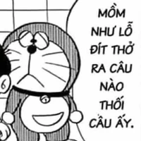 nhv phụ