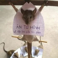 các country ở đó