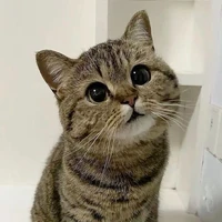 Tác giả bận rộn😘