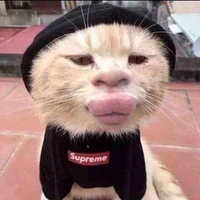 t/g bị đean:))