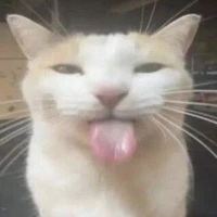 tÁc giẢ