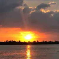 t/g hóa ngựa