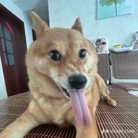 nhỏ bạn của t