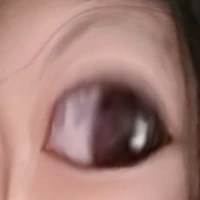 chuột 🐭