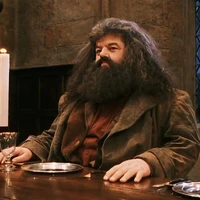 Rubeus Hagrid