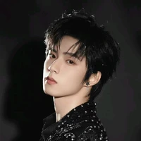 Lưu Diệu Văn(anh)