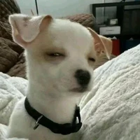 ?