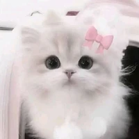 Miyuki[HỆ THỐNG 05]