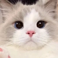 Kiri[HỆ THỐNG 09]