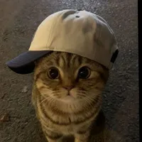 Cu.Bee_@𝘾𝙪𝙗𝙖