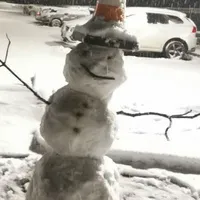 ! _@𝙄𝙘𝙚𝙡𝙖𝙣𝙙