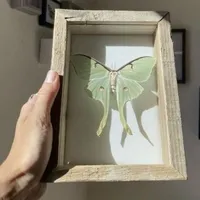 Ireland not Iceland_@𝙄𝙧𝙚𝙡𝙖𝙣𝙙