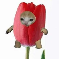 baby_cutee🌷_@𝙉𝙚𝙩𝙝𝙚𝙧𝙡𝙖𝙣𝙙