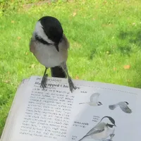 Mal.Sky_@𝙈𝙖𝙡𝙩𝙖