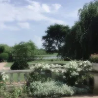 Bất kỳ vai diễn