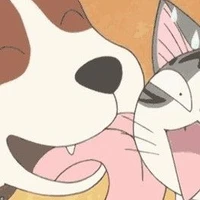Siro [ Dog ]