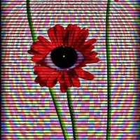 ?????????????????????????????????????