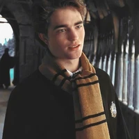 Cedric Diggory/A+/