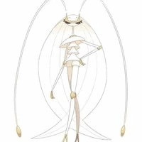 Pheromosa