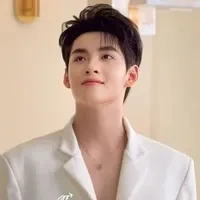 hùng huỳnh ( gemini)