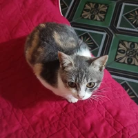 đa dạng nhân vật