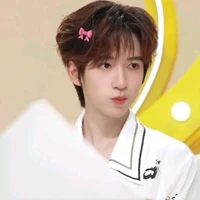 Hạ Tuấn Lâm (Y)