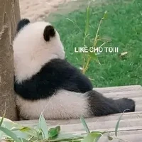 hệ thống