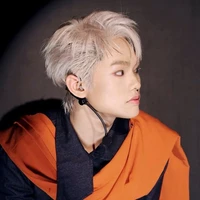 Bùi Trường Linh (buitruonglinh)