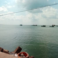 Tác giả/ T/g