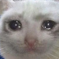 T/g _mèo_ v2