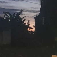 T/g