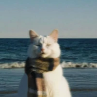 Người tình mùa đông