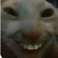 hệ thống mồm lèo