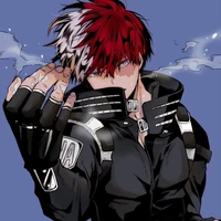 Todoroki Shoto  [Shoto]