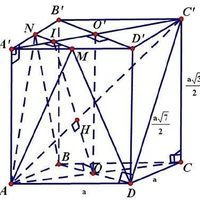 Đức Huy (bạn thân - giỏi đều)