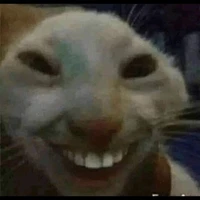 Nguyên Khôi (thánh khóa máy 580)