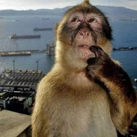 Rạp xiếc trung ương 7E1