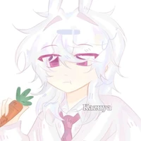 hiha hologram