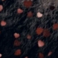 ？？？