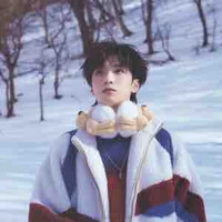 Gấu🐻