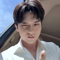 Ngô Nguyên Bình [ Vương Bình ]