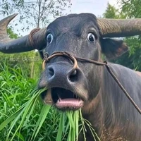 Nữ nhân kì lạ:)