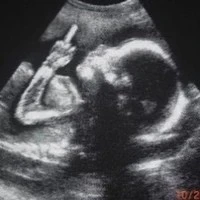 Ddeos biết ai hết