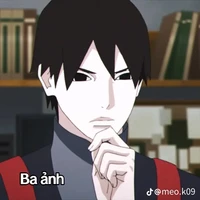 sai