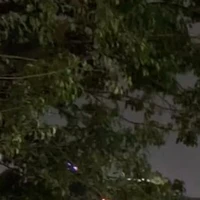 Nhân vật nam phụ