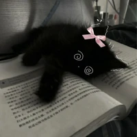 LaiBanh dạng meow