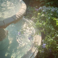 nhóm Su ( trừ ai thì trừ)