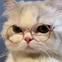 hệ thống 110[sika]